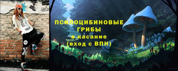 стафф Пересвет