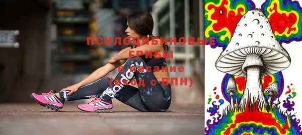 стафф Пересвет